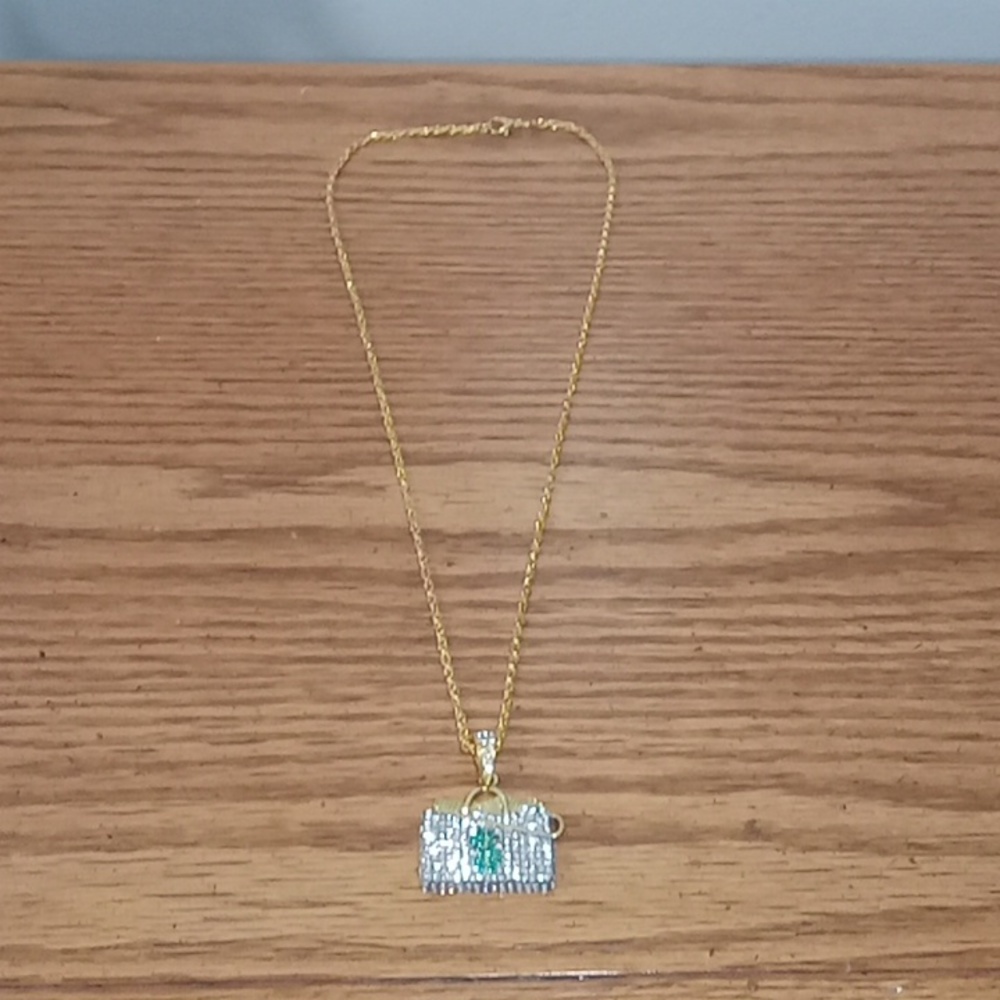 Iced out moneybag chain